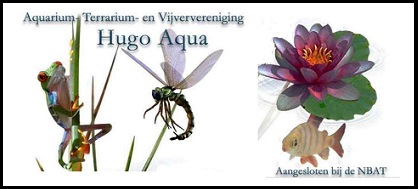 Hugo-Aqua